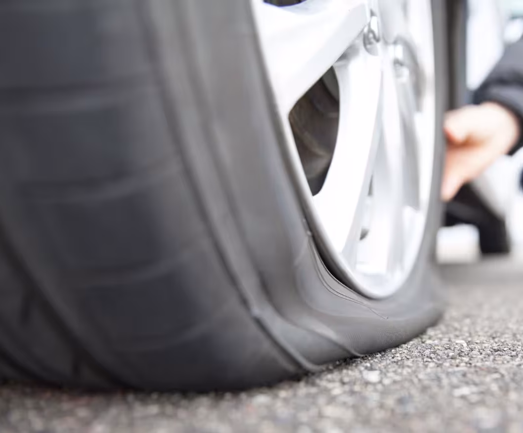 SOPT0722003_1560x880_desktop